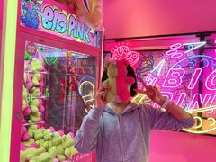 -BIG PINK大粉娃娃机主题馆(圆融星座店)