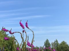 -稻梦空间冰雪小镇