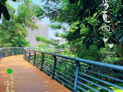 -玉树公园