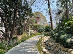 -成都市活水公园