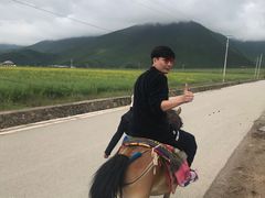 -东巴谷野生菌火锅餐厅