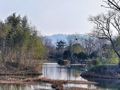 -西溪国家湿地公园