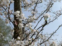 -宜兴龙背山森林公园