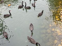 -长白岛森林公园