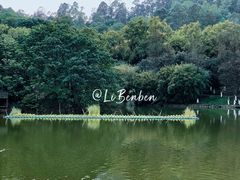 -番禺大夫山森林公园