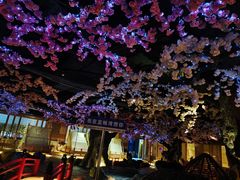 -蓝鲸湾汤泉(包河店)