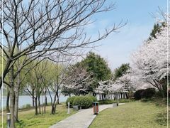 -石湖景区