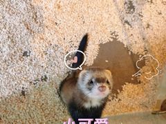 -昆明大悦城未来动物城(螺蛳湾中心店)