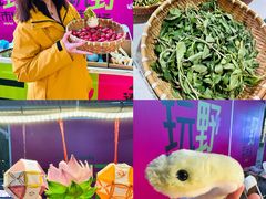 -金茂览秀城