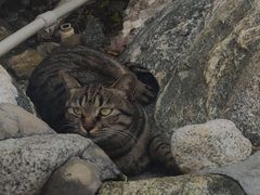 -华山御温泉度假村