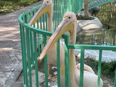 -水上乐园·欢乐世界