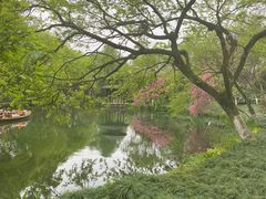 -茅家埠