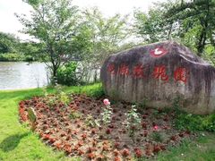 -鹅湖玫瑰文化园