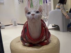 -藏猫猫咖啡主题馆(中央大道店)