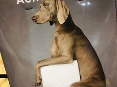 -Acne Studios(芮欧百货店)