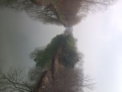 溱湖国家湿地公园-溱湖国家湿地公园