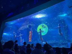 -多彩贵州城极地海洋世界