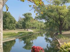 -上海共青森林公园