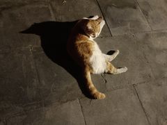 -李叔同故居纪念馆