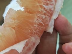 -始于2011柳周农家菜沙田柚美食店(东大街店)