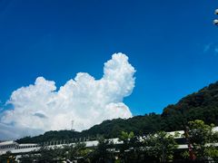 -黄埔油麻山森林公园