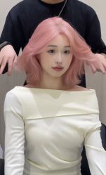 -YESIDO椰岛造型