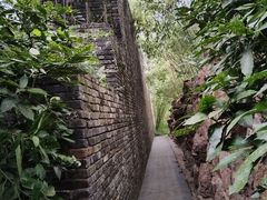 -水绘园