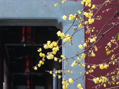 -钱王祠