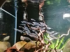 -太平洋海底世界博览馆·展览厅