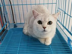 -欣怡宠物店
