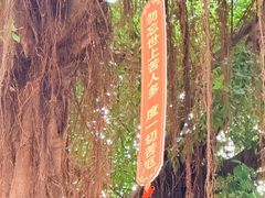 -福州开元寺
