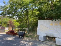 -金龙寺国家森林公园