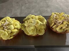 -仙蘑洞
