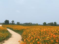 -良渚古城遗址公园