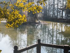 -东湖落雁景区