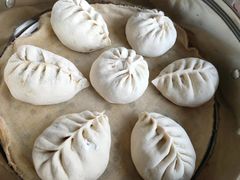 -昆山城市生态森林公园