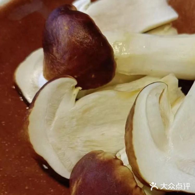 山海错·糟粕醋海鲜火锅（中山公园龙之梦店）一次独特的火锅体验