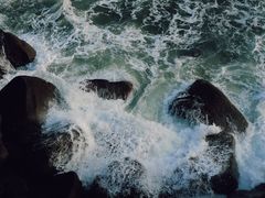 -广东惠东海龟国家级自然保护区