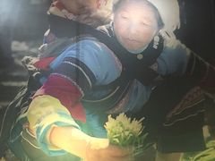 -云海肴·汽锅鸡·云南代表菜(天山百盛优客店)
