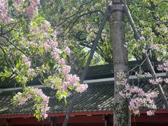 -吴山景区