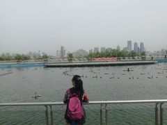 -天鹅湖体育公园