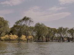 -石家庄市植物园
