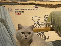 -花与咖啡馆(金星楼店)