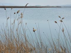 -野鸭湖国家湿地公园