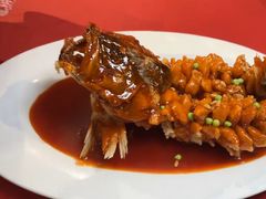 -RIVIERA 松鹤楼(外滩店)