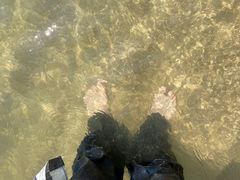 -西涌国际滨海旅游区