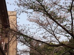 -武汉大学-樱园