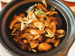 橄榄油大蒜炒杂菌-普兰达德国餐厅·德式脆皮烤猪肘·自酿啤酒(观唐店)