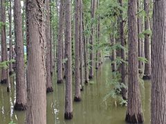 -采石矶景区