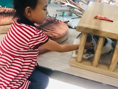 -飞行喵MR PILOT|猫舍·猫咖(静安大融城店)